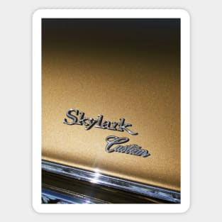 Buic* Skylark, Custom Paintwork, american classic automobile.. Magnet